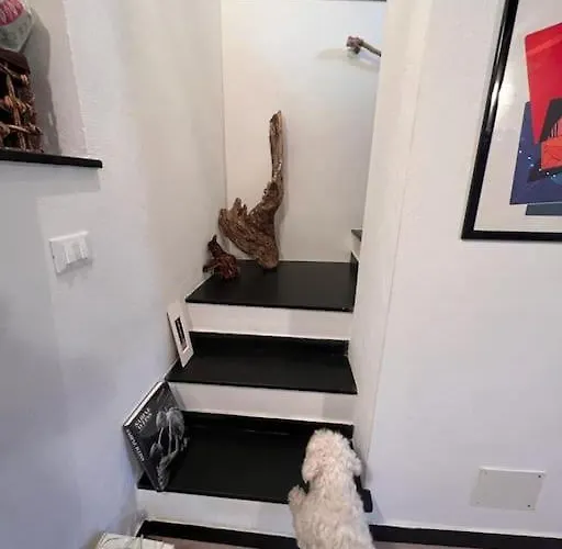 Casa Orri Quinto Mare E Gaslini *